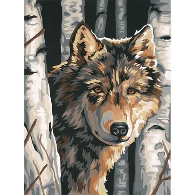 Dimensions - Paint Works - Paint By Number Kit - 9&quot;x12&quot; - Wolf among Birches