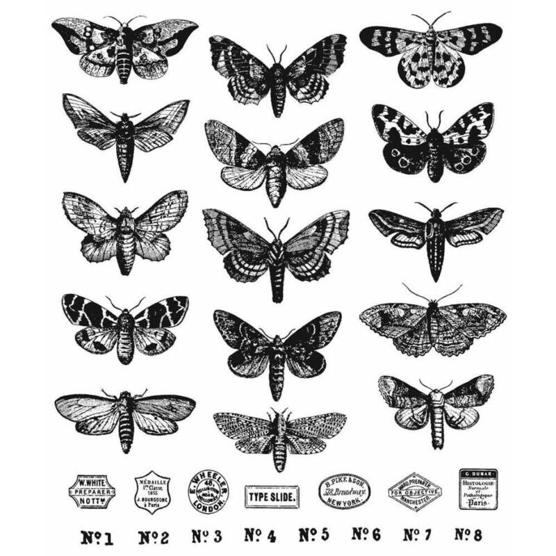 Stampers Anonymous - Tim Holtz - Cling Mount Stamps - Moth Study