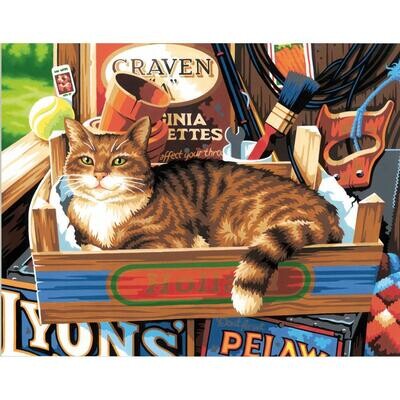 Paint Works - Paint By Number Kit -14&quot;x11&quot; - Cat Signs
