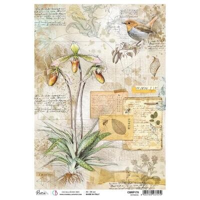 Ciao Bella - A4 Rice Paper Sheet - Botanical