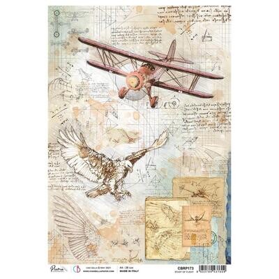 Ciao Bella - A4 Rice Paper Sheet - Study of Flight