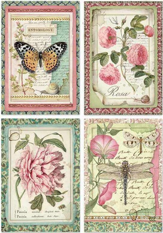 Stamperia - A4 Rice Paper Sheet - Botanics Flower cards - 4 images