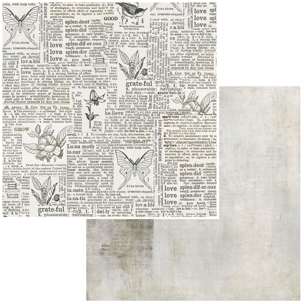 49 and Market - Essentials - Connotation - 12&quot;X12&quot; Double-sided Paper Sheet