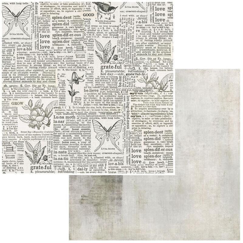 49 and Market - Essentials - Connotation - 12&quot;X12&quot; Double-sided Paper Sheet