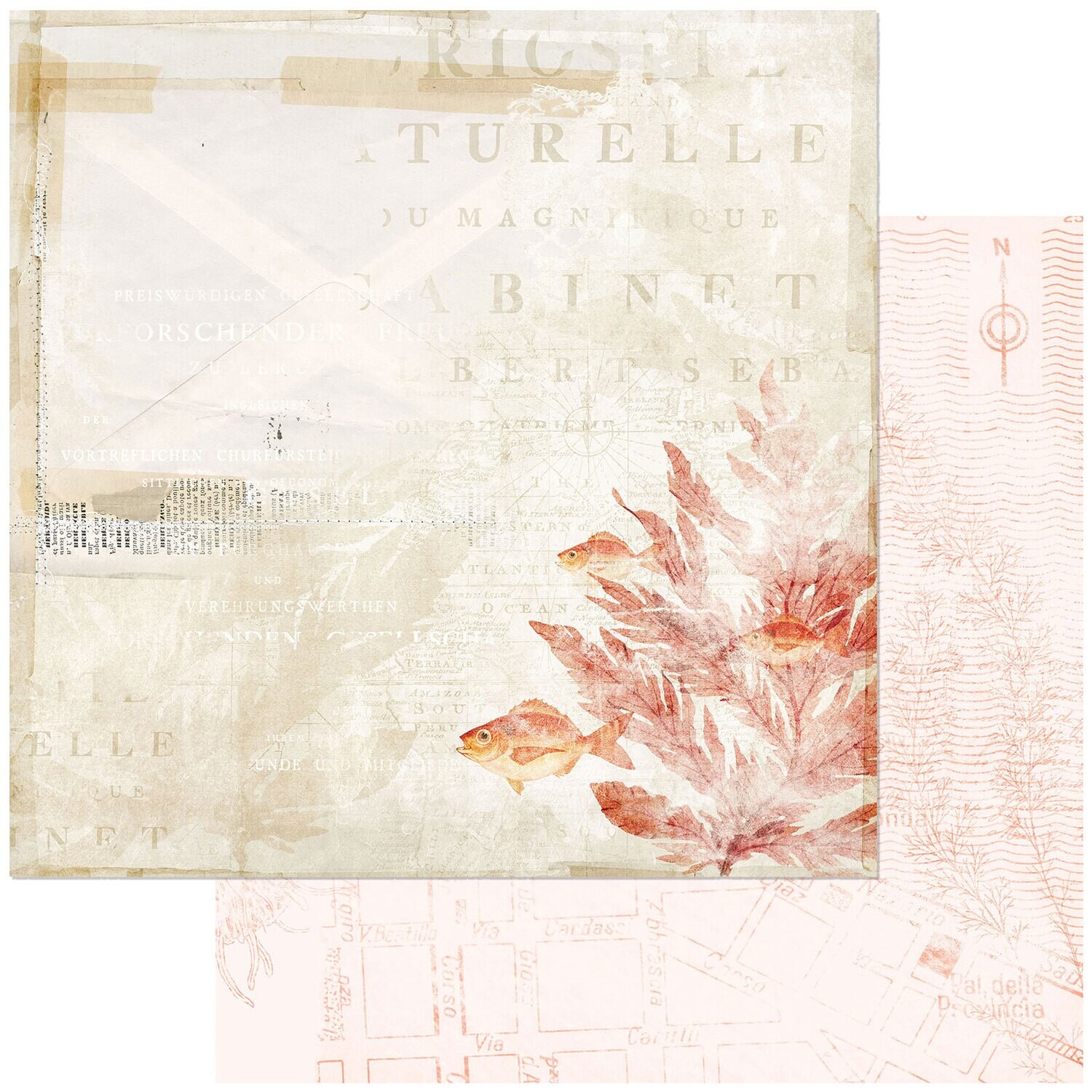 49 and Market - Shore - In the Shallows - 12&quot;X12&quot; Double-sided Paper Sheet
