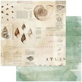 49 and Market - Shore - Tritons Shell - 12&quot;X12&quot; Double-sided Paper Sheet