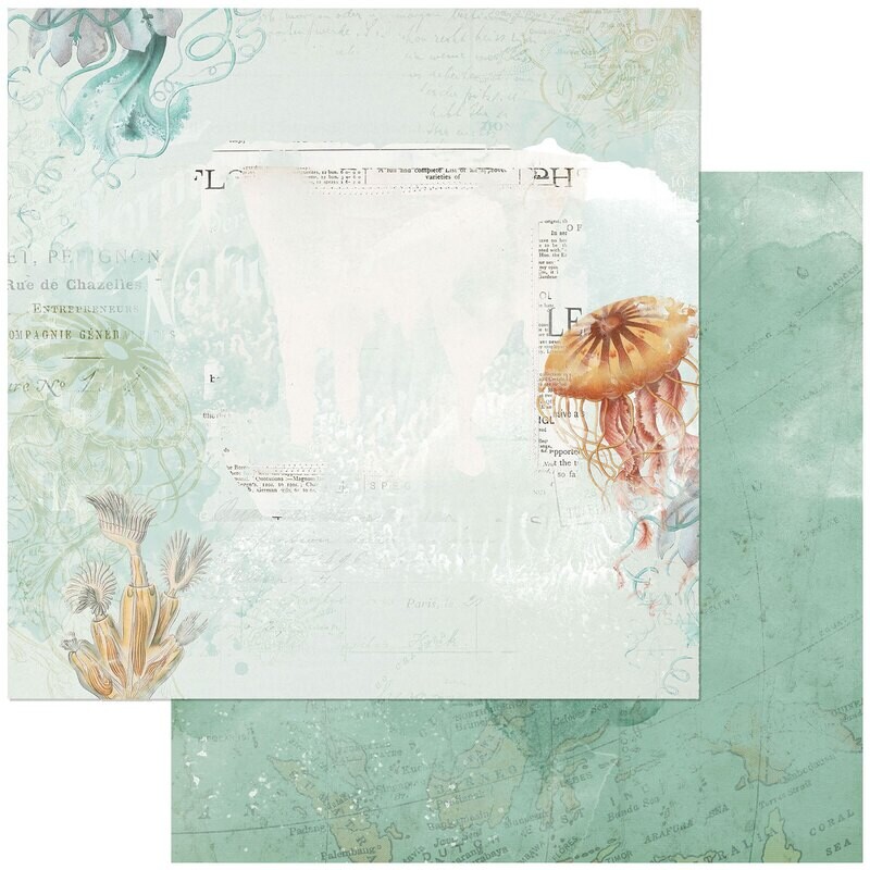 49 and Market - Shore - Barrier Reef - 12&quot;X12&quot; Double-sided Paper Sheet