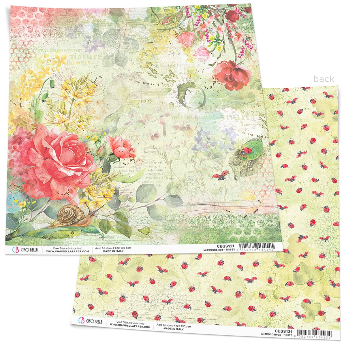 Ciao Bella - Microcosmos - Roses - 12&quot;x12&quot; Paper Sheet