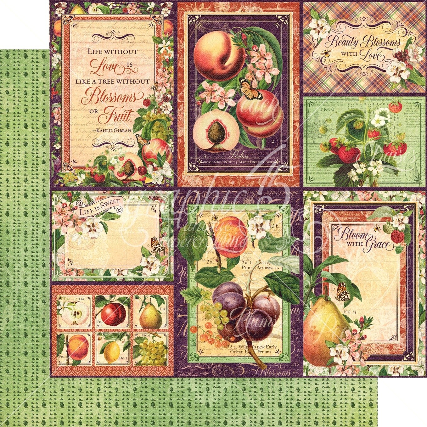 Graphic 45 - Fruit and Flora - 12&quot;x12&quot; Double-sided Paper Sheet - Orchard Fresh