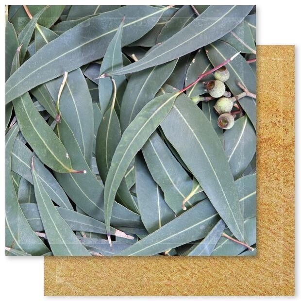 Paper Rose - Outdoor Adventure E - 12&quot;x12 Double-sided Paper Sheet