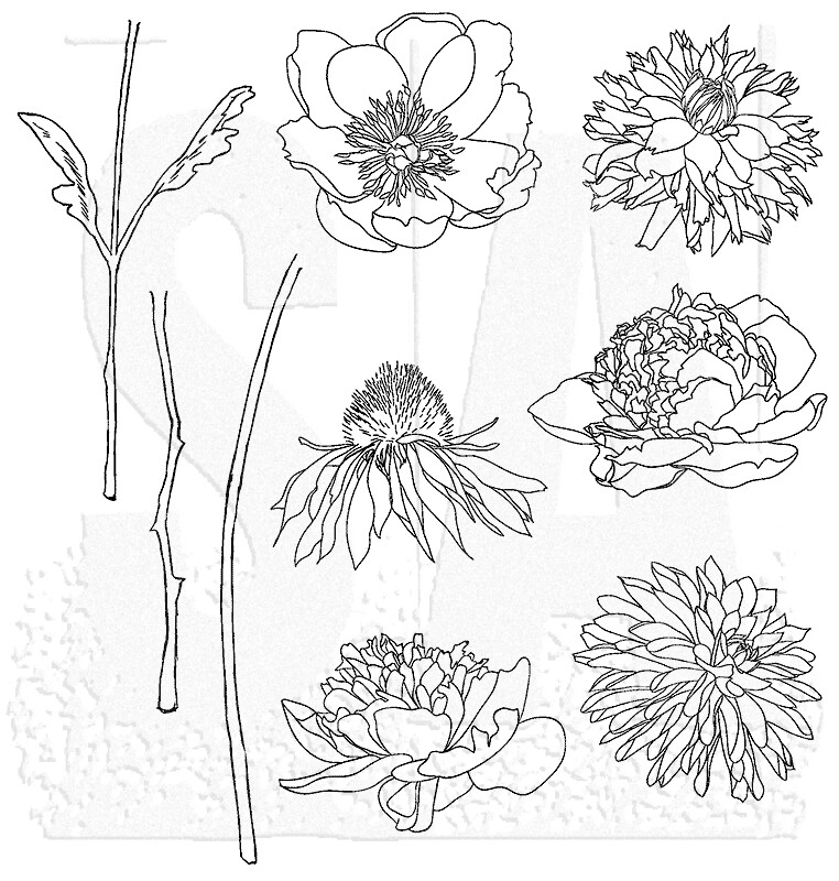 Stampers Anonymous - Tim Holtz - Cling Mount Stamps - Flower Garden