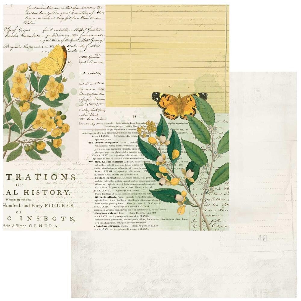 49 and Market - Curators Botanical – 12&quot;x12&quot; Double-sided Cardstock - Natural History