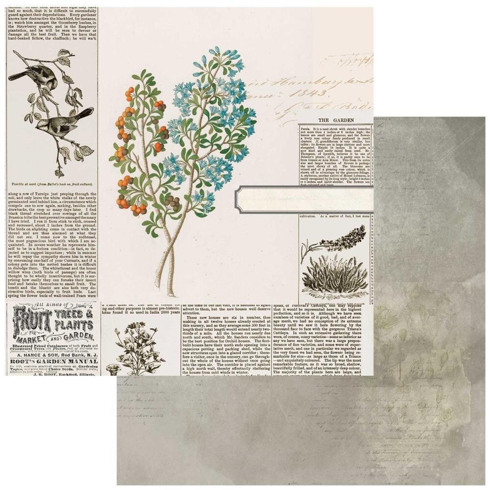 49 and Market - Curators Botanical – 12&quot;x12&quot; Double-sided Cardstock - Garden Clippings