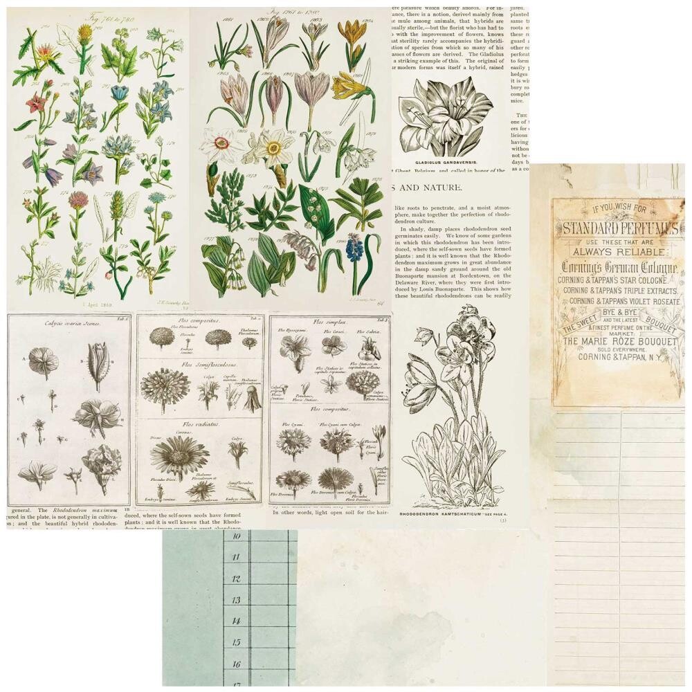 49 and Market - Curators Botanical – 12&quot;x12&quot; Double-sided Cardstock - Anthology