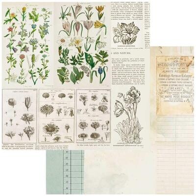 49 and Market - Curators Botanical – 12&quot;x12&quot; Double-sided Cardstock - Anthology