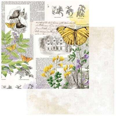 Curators Botanical