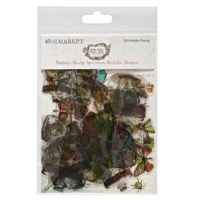 49 and Market - Nature Study - Acetate - Specimen