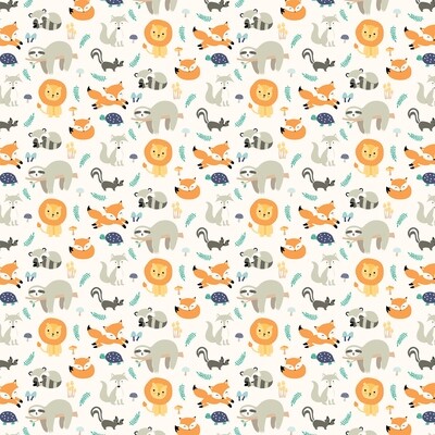Echo Park - Hello Baby Boy - 12&quot; x 12&quot; Double-sided Paper - Little Wild One