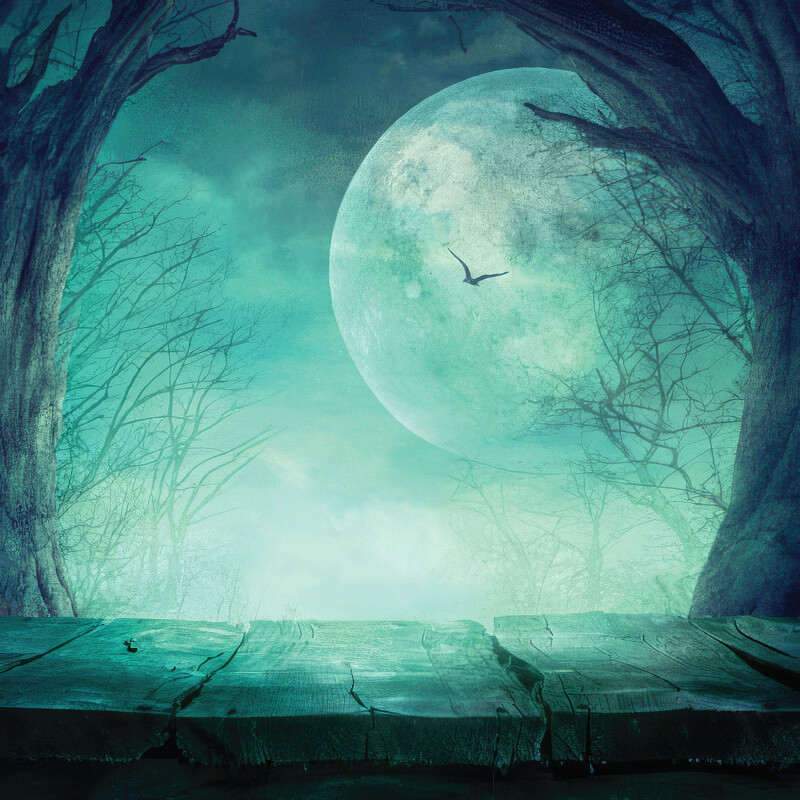 Reminisce - Ella and Viv - 12&quot;x12&quot; Double-sided Paper - Harvest Moon
