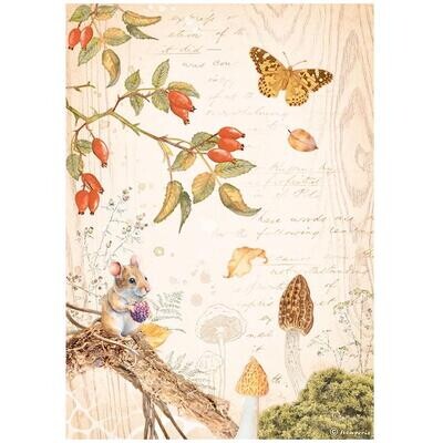 Stamperia - Woodland - A4 Rice Paper - Butterfly
