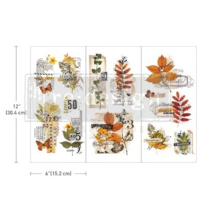 Prima Marketing - Re-Design - Small Decor Transfer - Foliage Collector