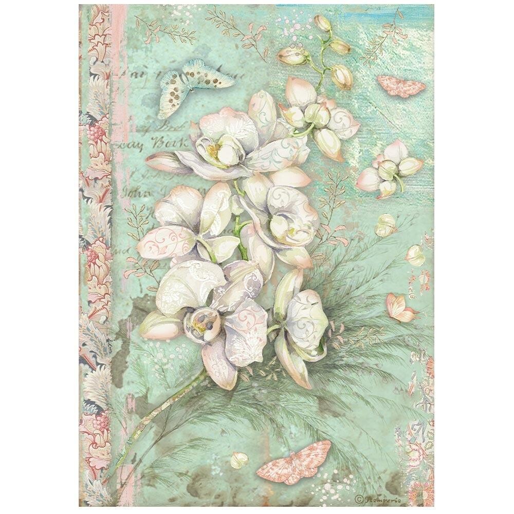 Stamperia - Orchids and Cats - A4 Rice Paper - White Orchid
