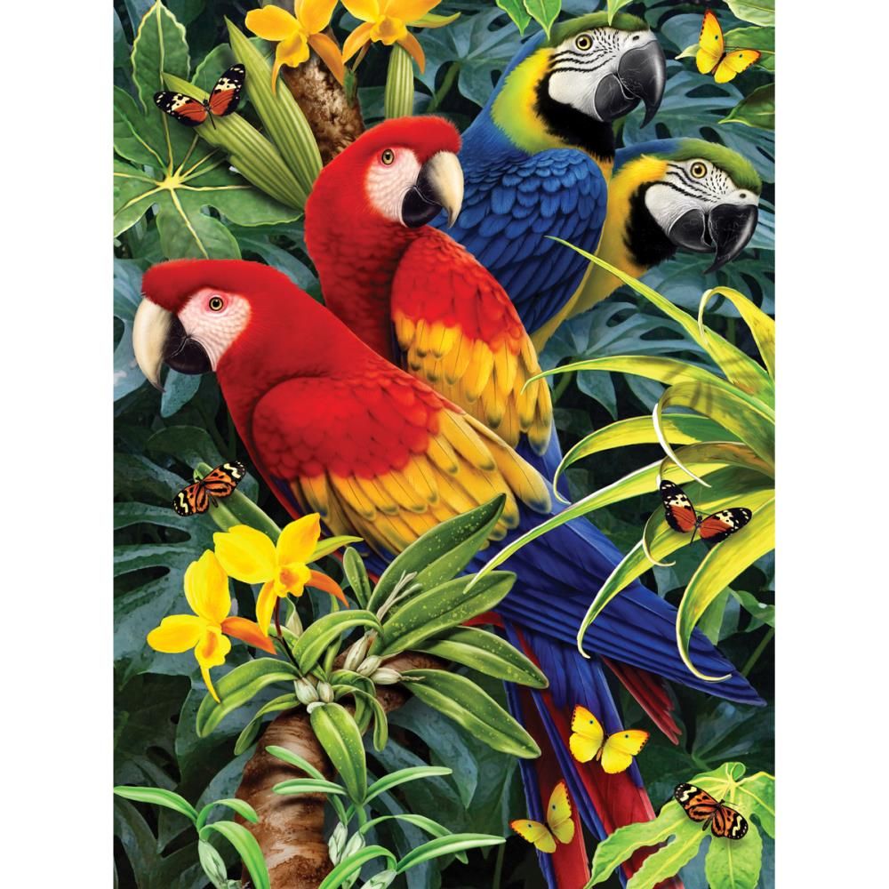 Royal &amp; Langnickel - Paint By Number Kit - Majestic Macaws