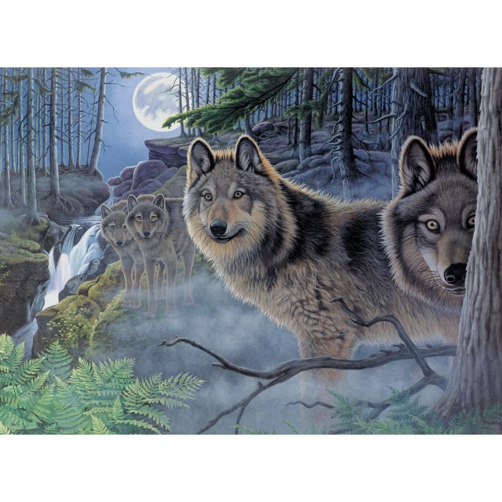 Royal &amp; Langnickel - Paint By Number Kit - Mystical Moonlight