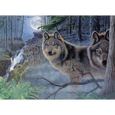 Royal & Langnickel - Paint By Number Kit - Mystical Moonlight