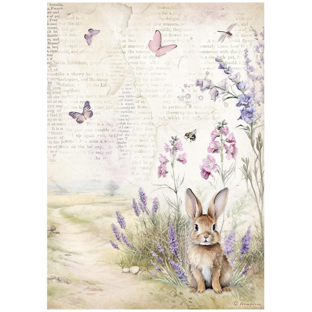 Stamperia - Lavender - A4 Rice Paper - Bunny