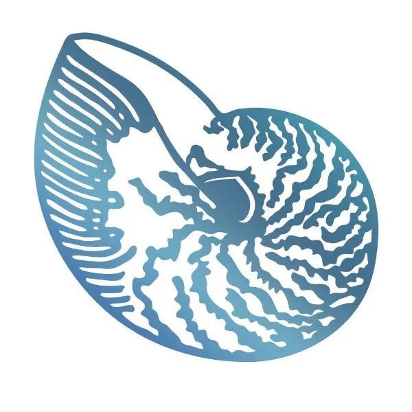 Couture Creations - Hot Foil Stamp/Die - Atlantic Shell
