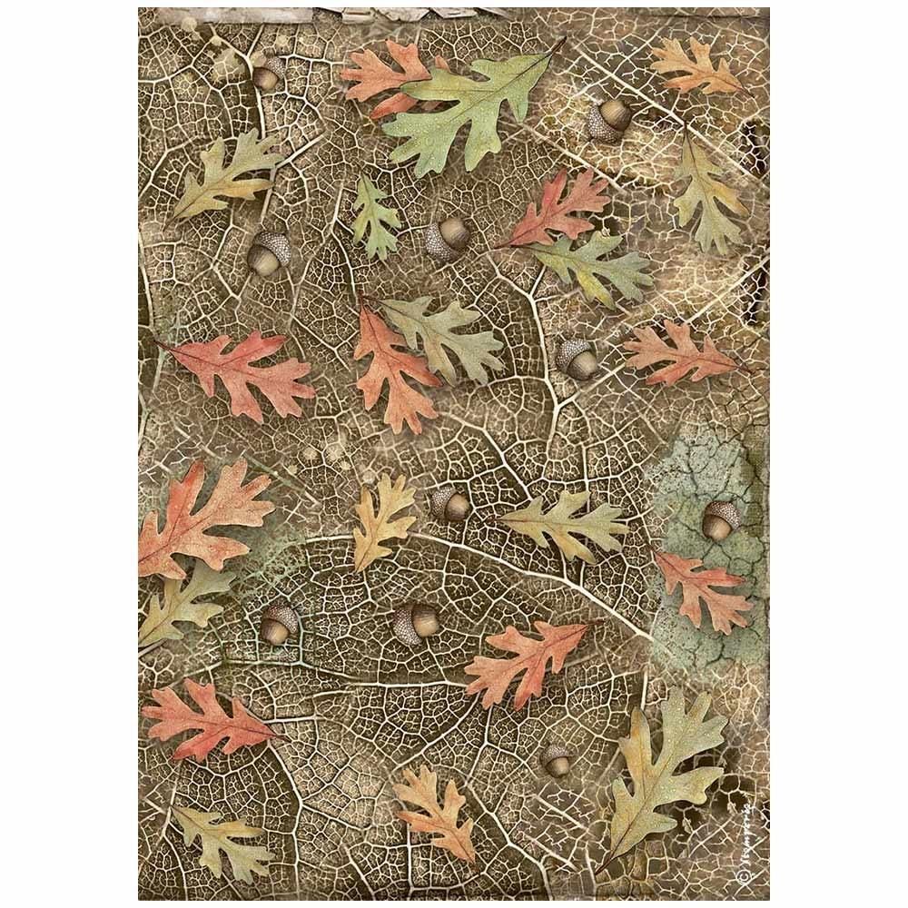 Stamperia - Forest - A4 Rice Paper - Acorns and Leaves