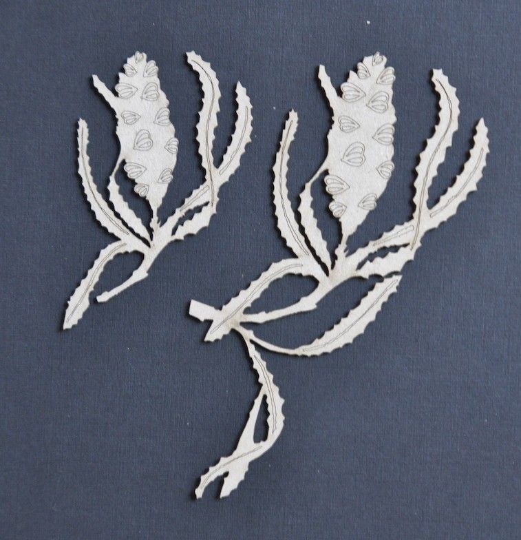 Dusty Attic - Chipboard - Nature - Banksia #1