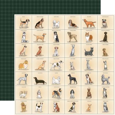 Carta Bella - Best in Show - 12&quot;x12&quot; Double-sided Paper - Best Friend Breeds