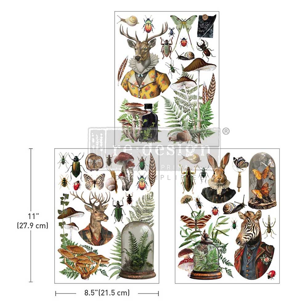 Prima Marketing - Re-Design - Middy Decor Transfers - Ephemera Enclave