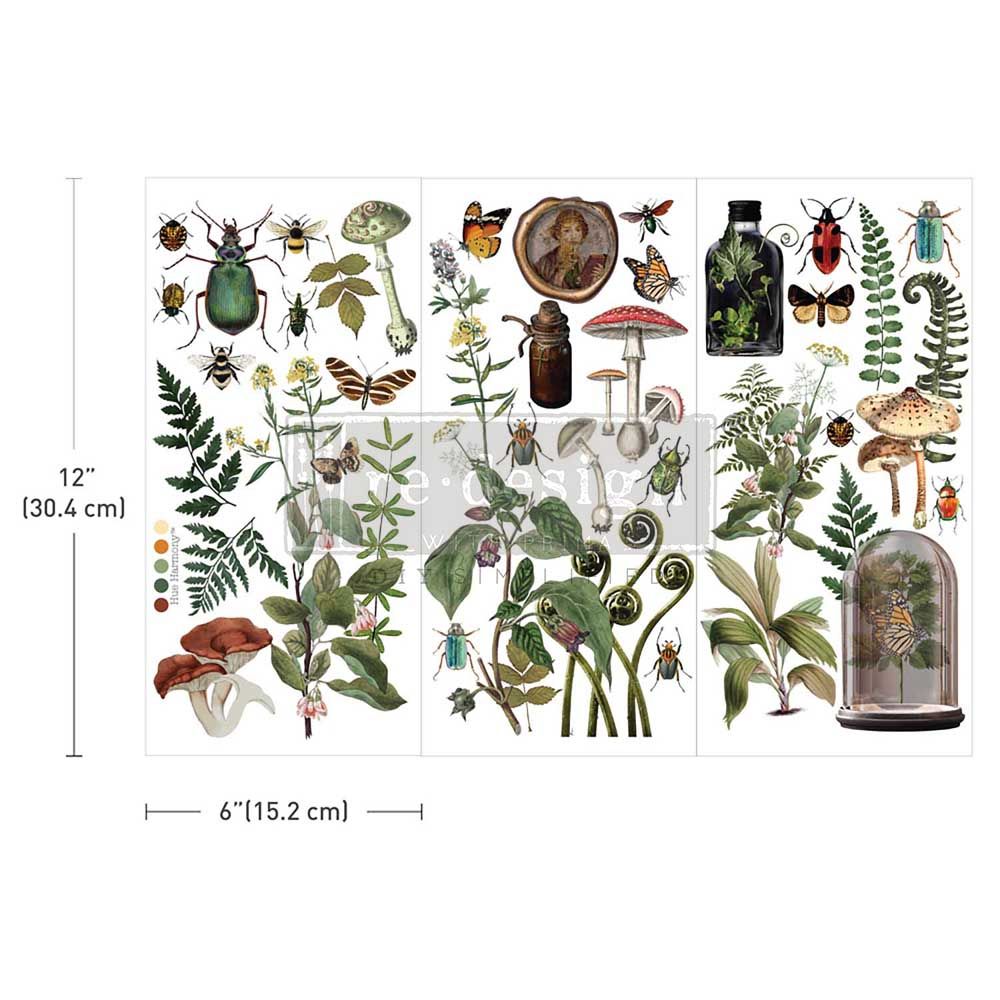 Prima Marketing - Re-Design - Small Decor Transfers - Botanical Archives