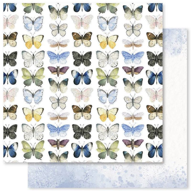 Paper Rose - Butterfly Garden - 12&quot;x12&quot; Double-Sided Paper - A