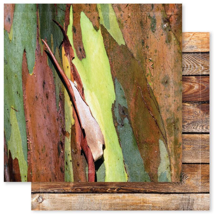 Paper Rose - 12&quot;x12&quot; Double-sided Paper - Outdoor Adventure - D