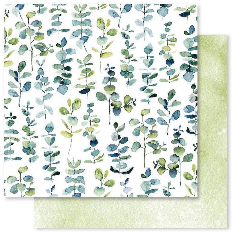 Paper Rose - 12&quot;x12&quot; Double-sided Paper - Eucalyptus Dance - B
