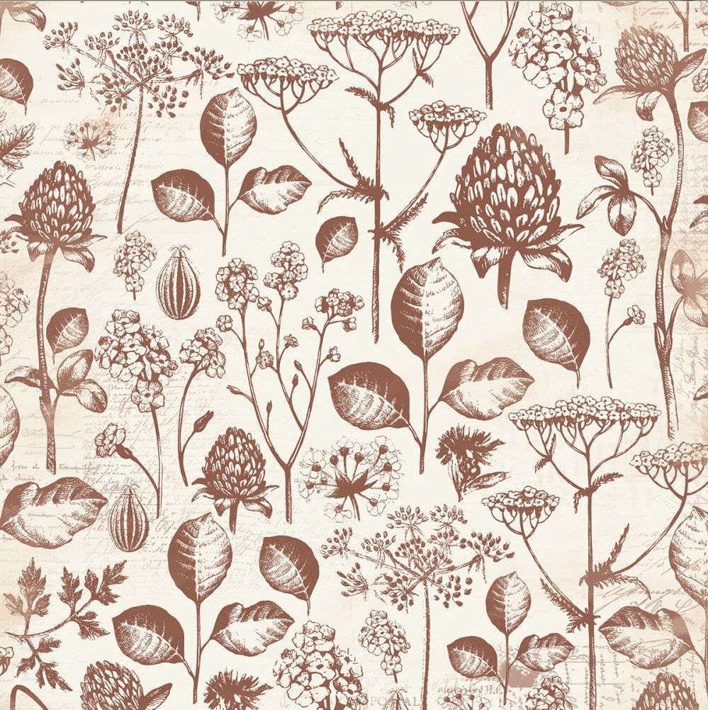 Kaisercraft - Botanica - 12&quot;x12&quot; Glazed Paper - Bulb