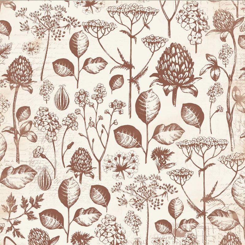 Kaisercraft - Botanica - 12&quot;x12&quot; Glazed Paper - Bulb