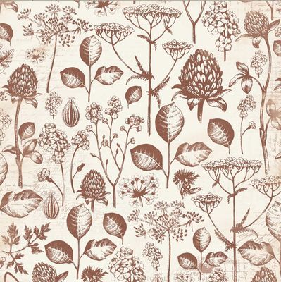 Kaisercraft - Botanica - 12&quot;x12&quot; Glazed Paper - Bulb