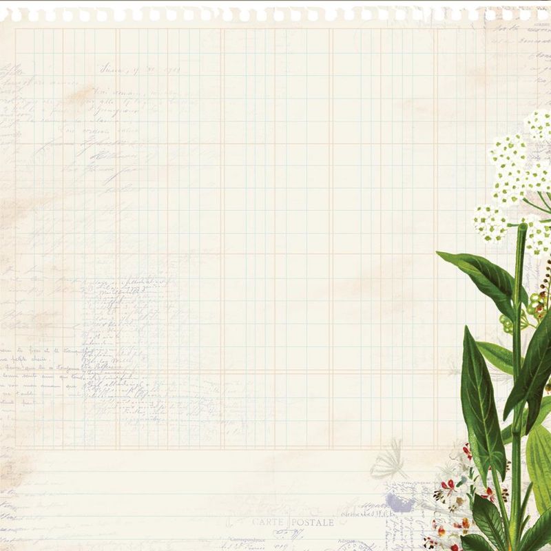 Kaisercraft - Botanica - 12&quot;x12&quot; Die Cut Paper - Vine