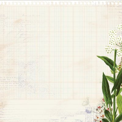 Kaisercraft - Botanica - 12&quot;x12&quot; Die Cut Paper - Vine