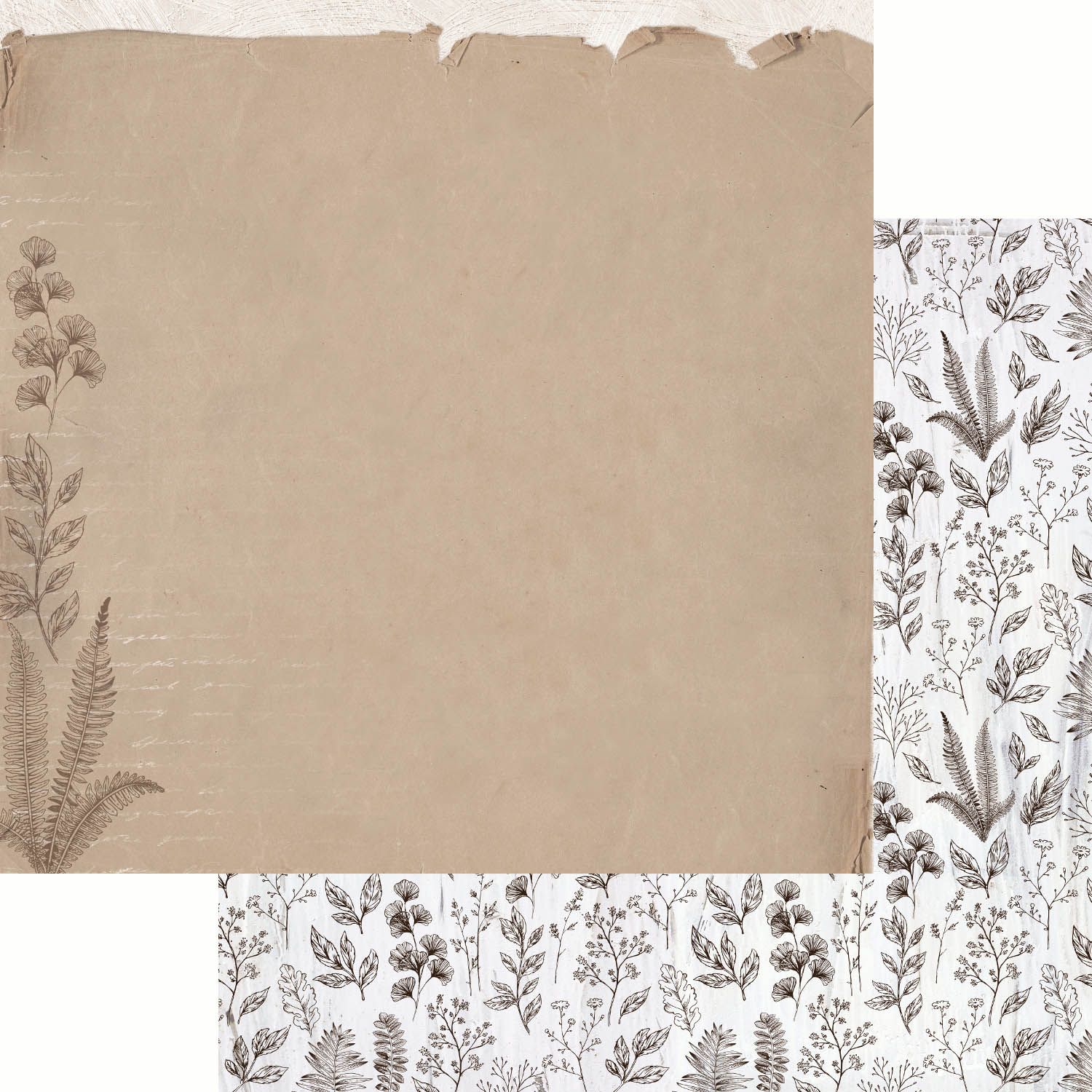 Kaisercraft - Whisper - 12&quot;x12&quot; Double-sided Paper Sheet - Ecru