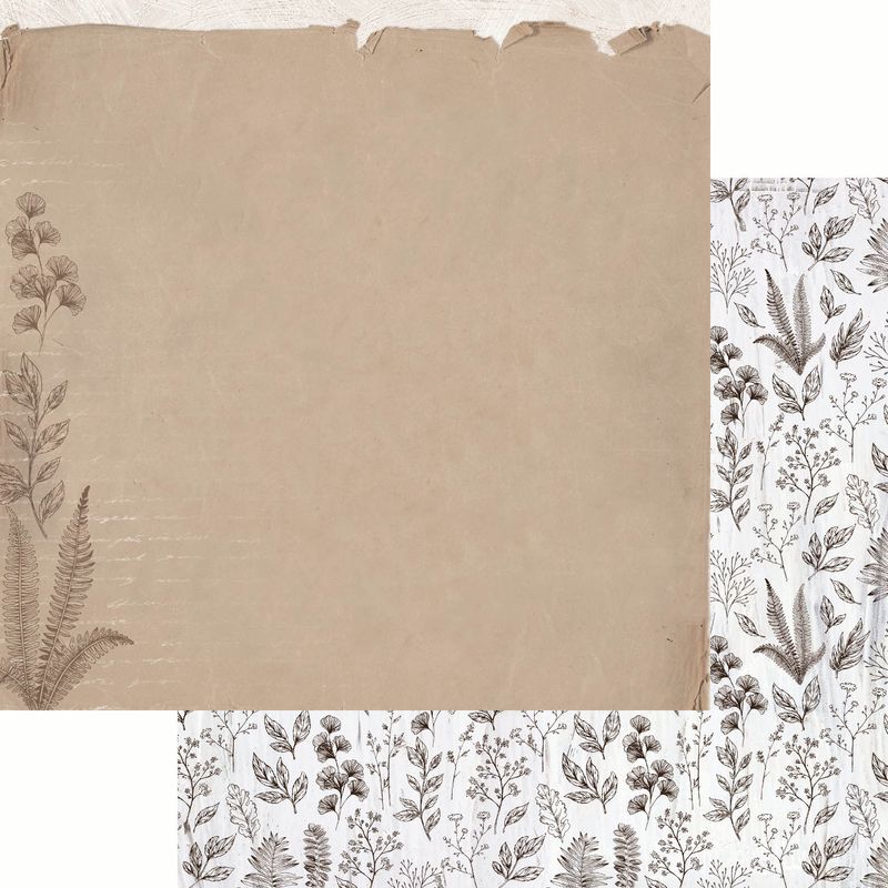 Kaisercraft - Whisper - 12&quot;x12&quot; Double-sided Paper Sheet - Ecru