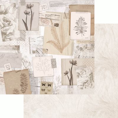 Kaisercraft - Whisper - 12&quot;x12&quot; Double-sided Paper Sheet - Organic
