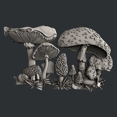 Zuri Moulds