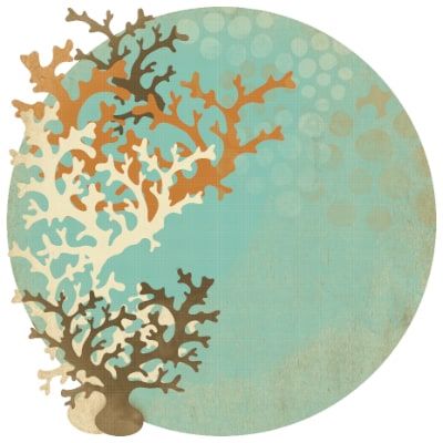 Kaisercraft - Rock Pool - 12&quot;x12&quot; Die Cut Paper - Underwater