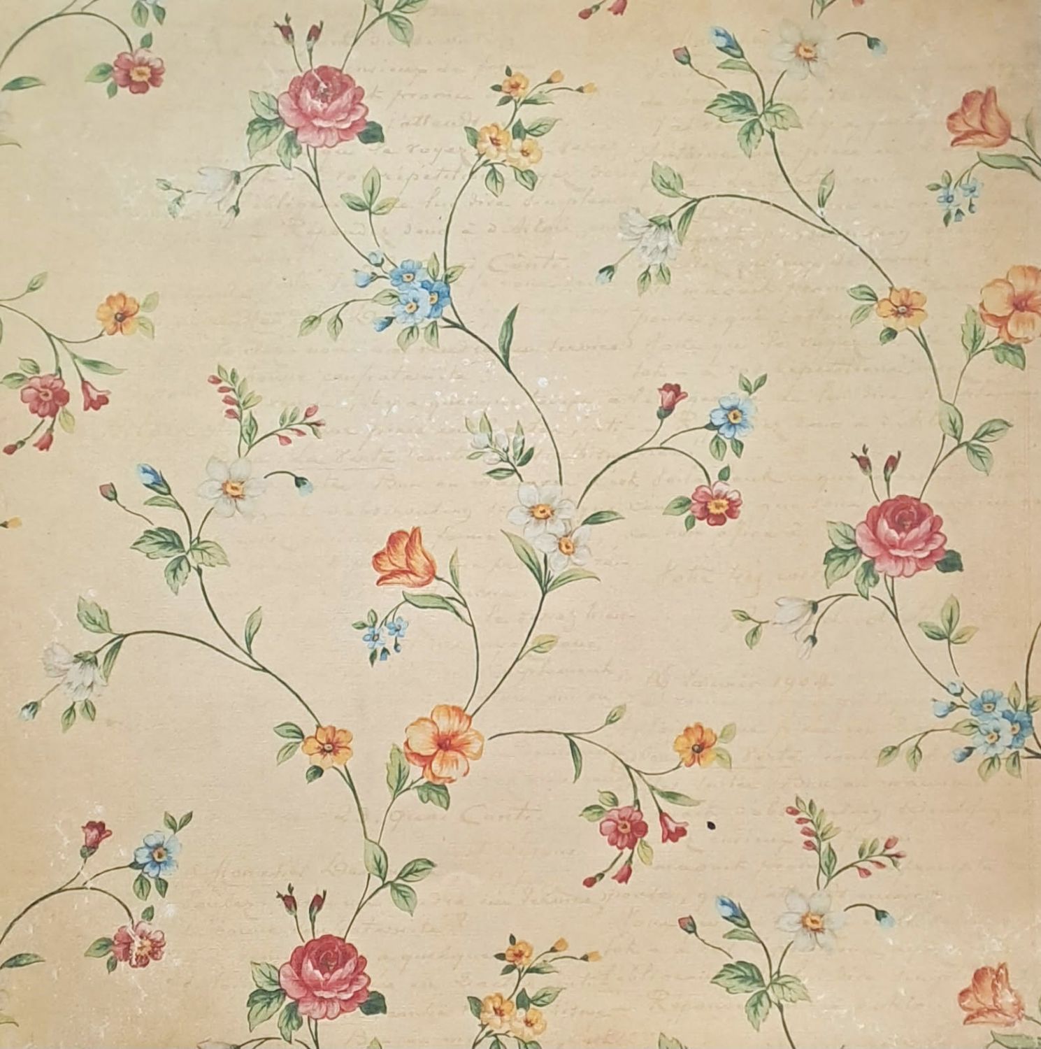 Kaisercraft - Timeless - 12&quot;x12&quot; Double-sided Paper - Floral